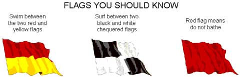 RNLI Beach flags