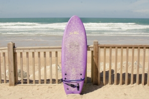 Softlite Fish Stick Surfboard